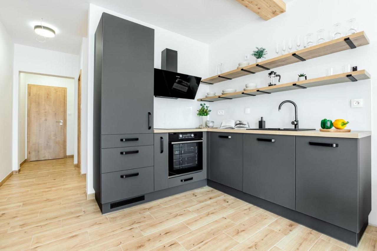 Apartmany Karlovy Dvory Horni Plana Ngoại thất bức ảnh