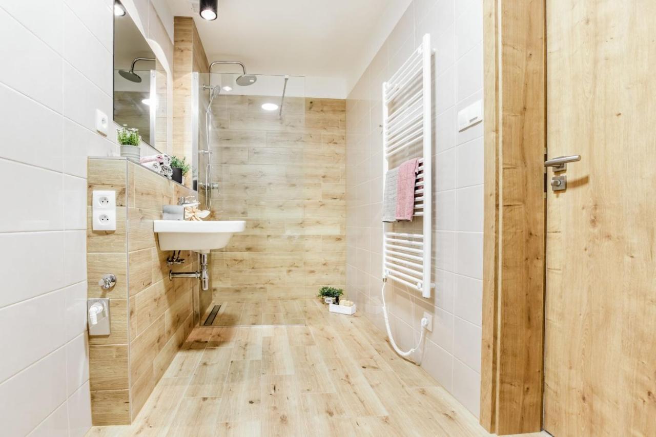 Apartmany Karlovy Dvory Horni Plana Ngoại thất bức ảnh